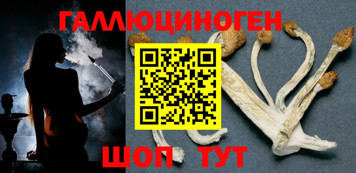 Псилоцибиновые грибы Psilocybe Орёл