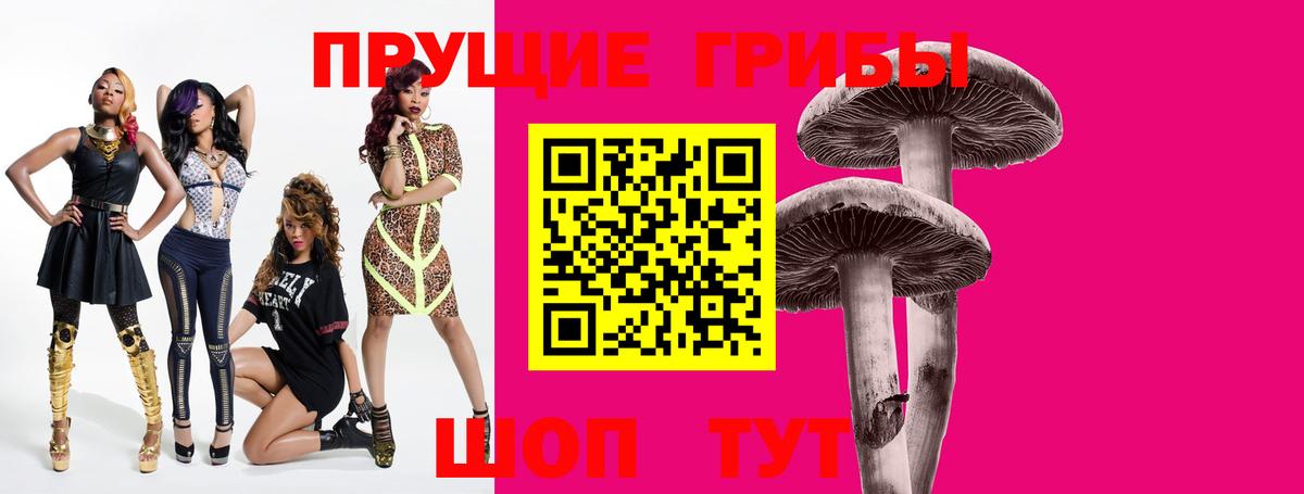 Псилоцибиновые грибы MAGIC MUSHROOMS  Псилоцибиновые грибы Magic Shrooms  купить  цена  Вход с VPN  Орёл 